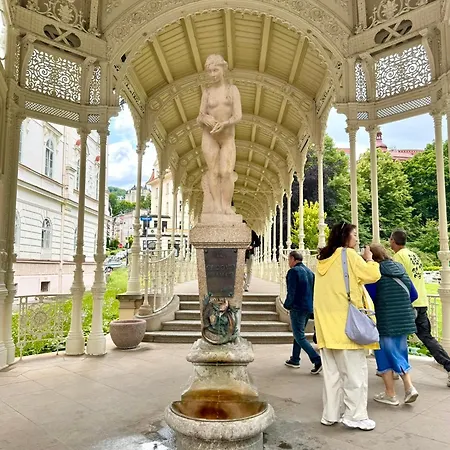 Apartment Rezidence Moser Karlovy Vary