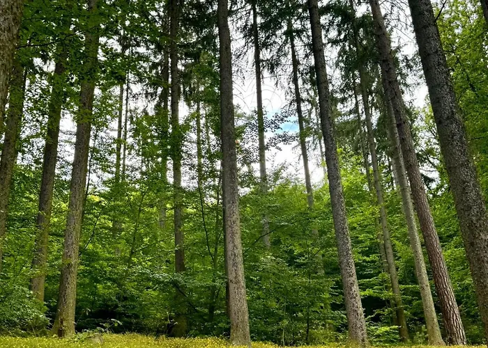 Lejlighed Rezidence Moser *